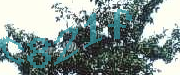 Sorry, this is a captcha