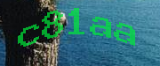 Sorry, this is a captcha