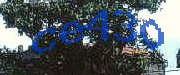 Sorry, this is a captcha