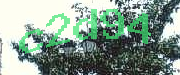 Sorry, this is a captcha