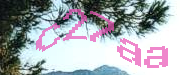 Sorry, this is a captcha