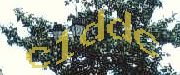 Sorry, this is a captcha