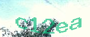 Sorry, this is a captcha