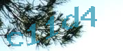 Sorry, this is a captcha