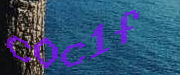 Sorry, this is a captcha