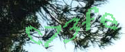 Sorry, this is a captcha