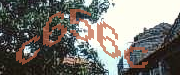 Sorry, this is a captcha