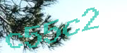 Sorry, this is a captcha