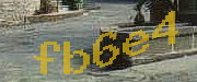 Sorry, this is a captcha