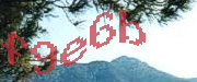 Sorry, this is a captcha