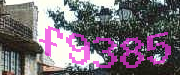Sorry, this is a captcha