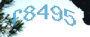 Sorry, this is a captcha