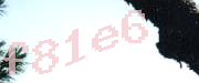 Sorry, this is a captcha