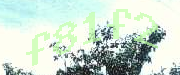 Sorry, this is a captcha