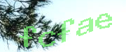 Sorry, this is a captcha