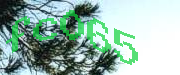 Sorry, this is a captcha