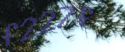 Sorry, this is a captcha