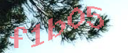 Sorry, this is a captcha