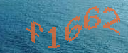 Sorry, this is a captcha
