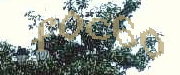 Sorry, this is a captcha