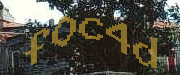 Sorry, this is a captcha