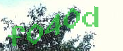 Sorry, this is a captcha