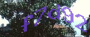 Sorry, this is a captcha