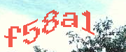 Sorry, this is a captcha