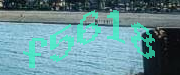 Sorry, this is a captcha