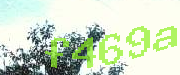 Sorry, this is a captcha
