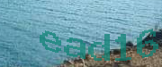 Sorry, this is a captcha