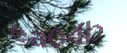 Sorry, this is a captcha