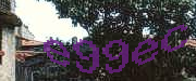 Sorry, this is a captcha