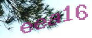 Sorry, this is a captcha