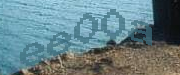 Sorry, this is a captcha