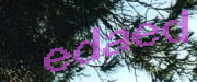 Sorry, this is a captcha