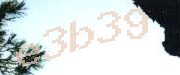 Sorry, this is a captcha