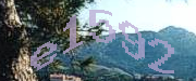 Sorry, this is a captcha