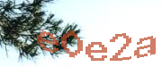 Sorry, this is a captcha
