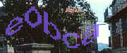 Sorry, this is a captcha