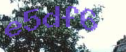 Sorry, this is a captcha