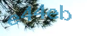 Sorry, this is a captcha