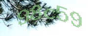 Sorry, this is a captcha