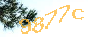Sorry, this is a captcha