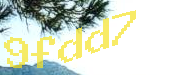 Sorry, this is a captcha