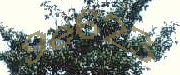 Sorry, this is a captcha