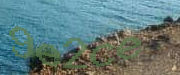 Sorry, this is a captcha