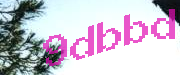 Sorry, this is a captcha