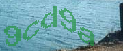 Sorry, this is a captcha