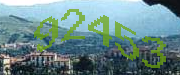 Sorry, this is a captcha